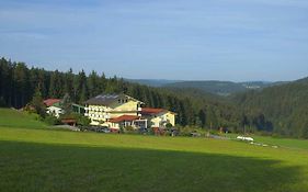 Sport- Und Wellnesshotel Oedhof